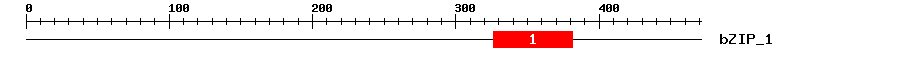 Signature Domain