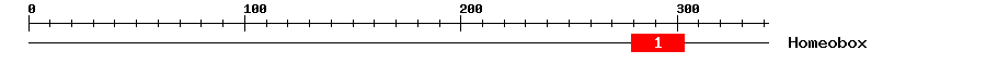Signature Domain