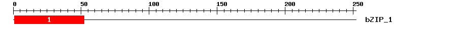 Signature Domain