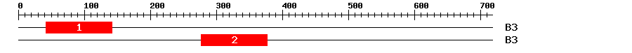 Signature Domain