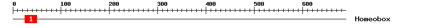 Signature Domain