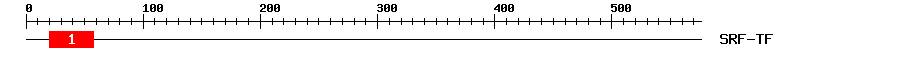Signature Domain