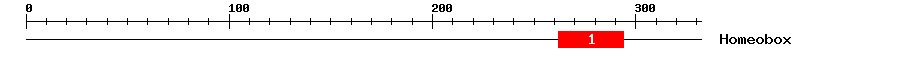 Signature Domain