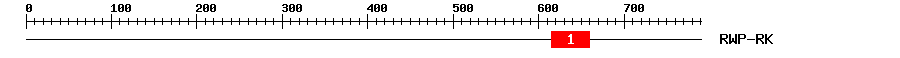 Signature Domain