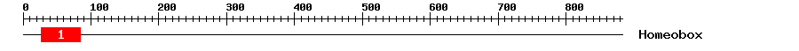 Signature Domain