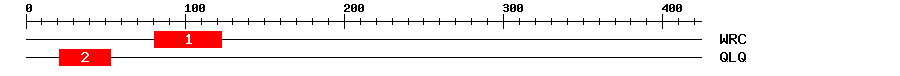 Signature Domain