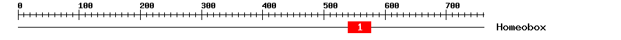 Signature Domain