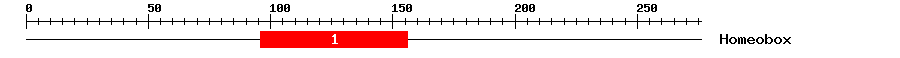 Signature Domain