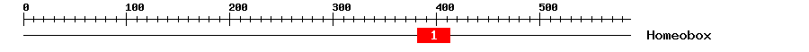 Signature Domain