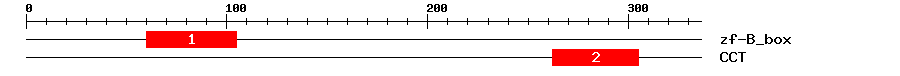 Signature Domain