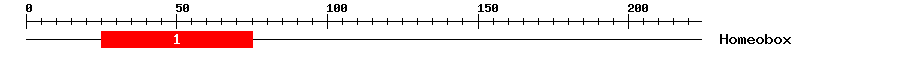 Signature Domain