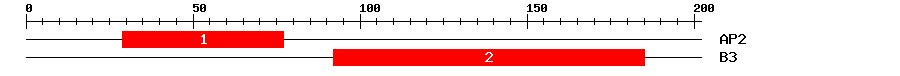 Signature Domain