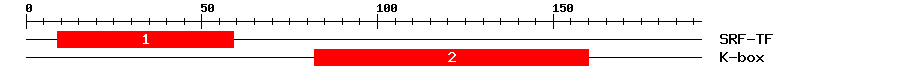 Signature Domain