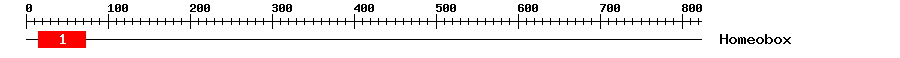 Signature Domain