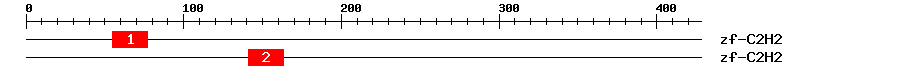 Signature Domain