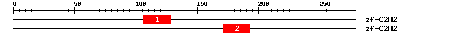 Signature Domain