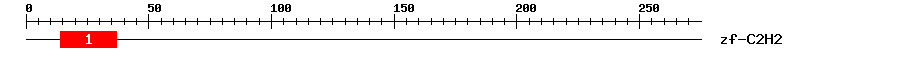 Signature Domain