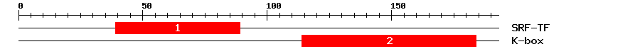 Signature Domain