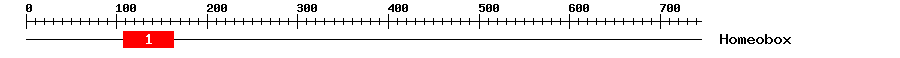 Signature Domain