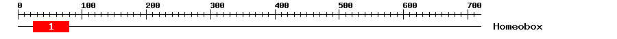 Signature Domain