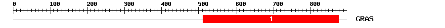 Signature Domain