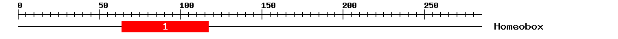 Signature Domain