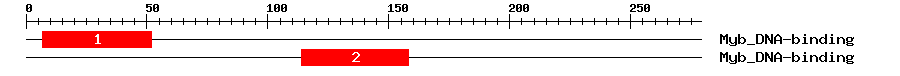 Signature Domain