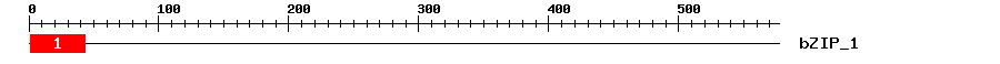 Signature Domain