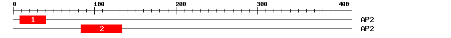 Signature Domain