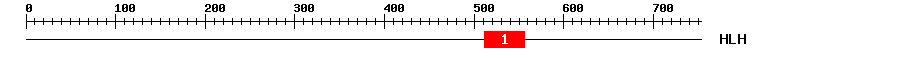 Signature Domain