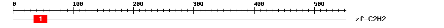 Signature Domain