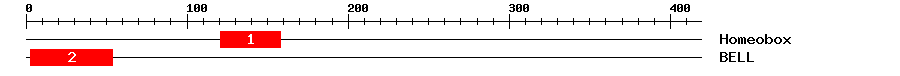 Signature Domain