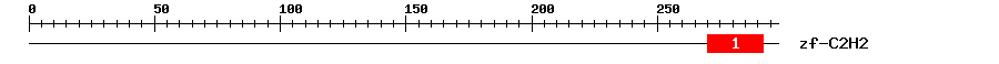 Signature Domain