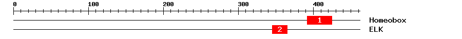 Signature Domain