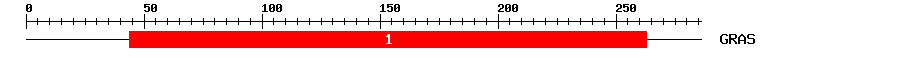 Signature Domain