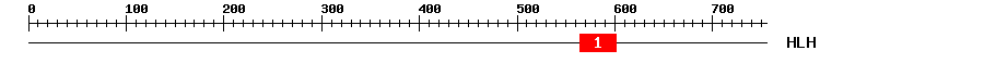 Signature Domain