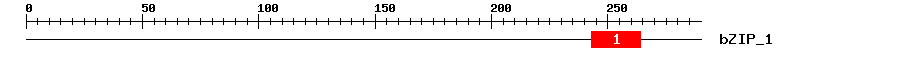 Signature Domain