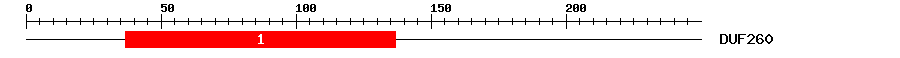 Signature Domain