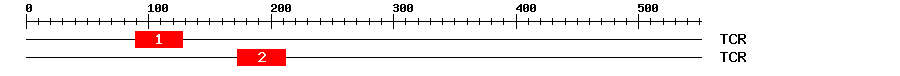 Signature Domain