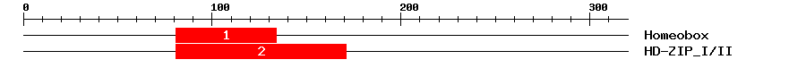 Signature Domain