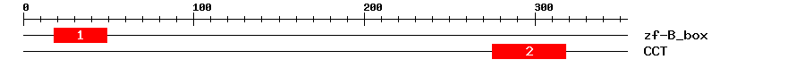 Signature Domain