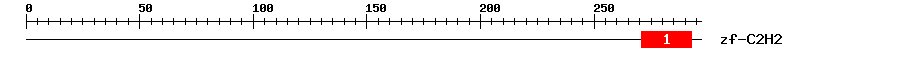 Signature Domain