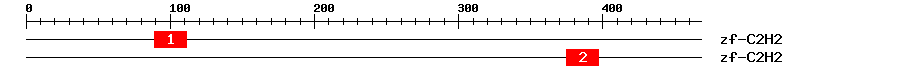 Signature Domain
