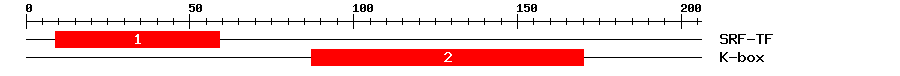 Signature Domain