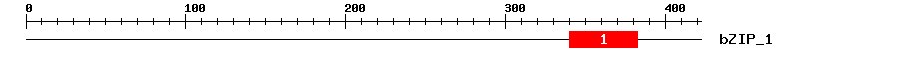 Signature Domain