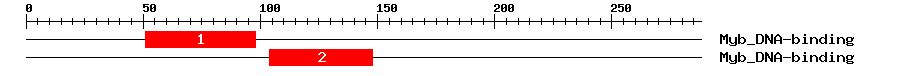 Signature Domain