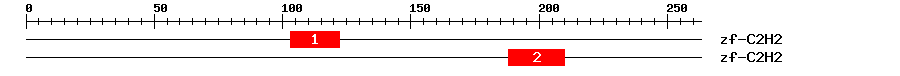 Signature Domain