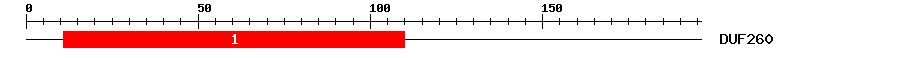 Signature Domain