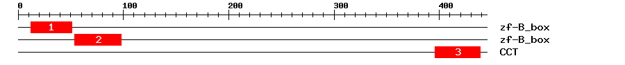 Signature Domain
