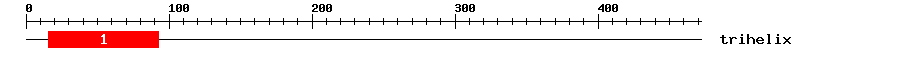 Signature Domain
